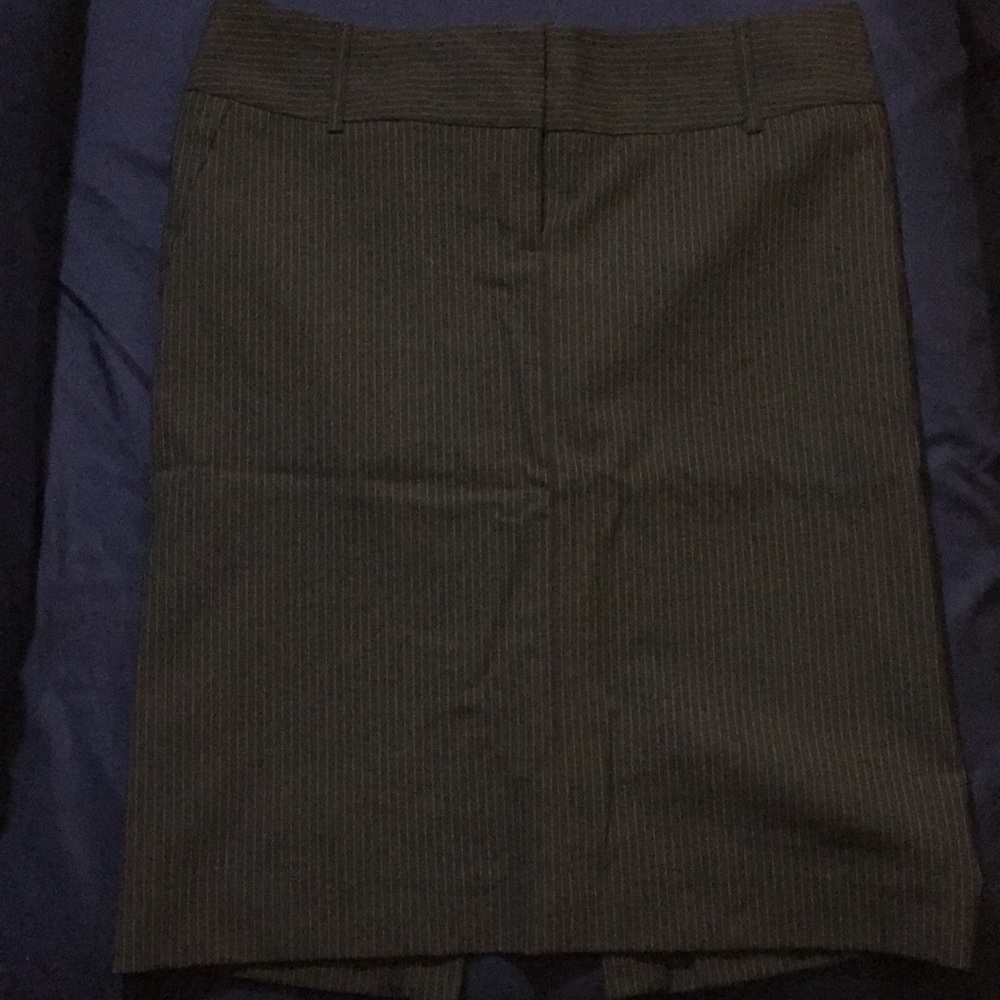 Express Pencil Skirt